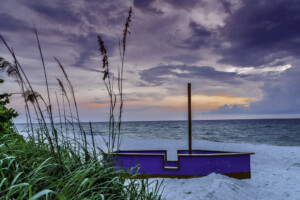 Sunset over the Gulf Coast beach with palm trees