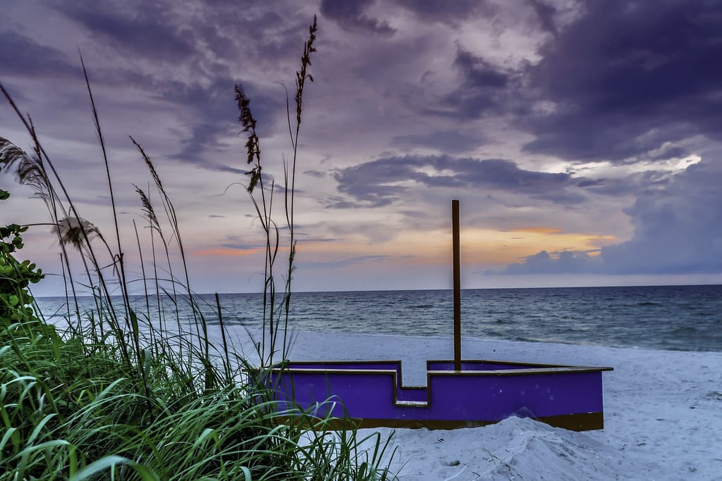 Sunset over the Gulf Coast beach with palm trees