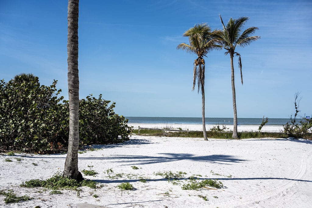 Palm trees on the white sand beach at Bowditch Point Park, Fort Myers Beach