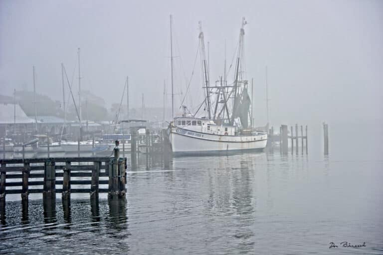 Shrimp boats tied up at the dock in morning fog at Fort Myers Beach