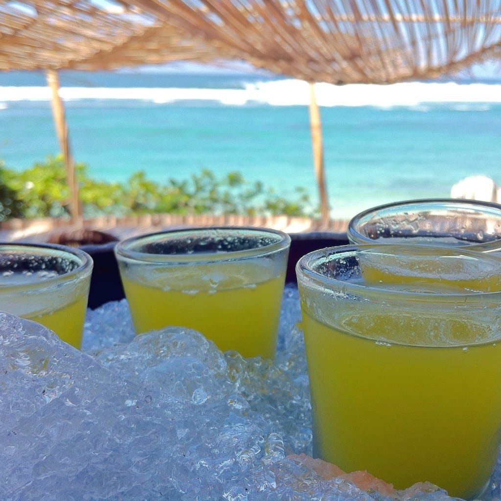 Ice-cold tropical drinks lined up at a beach bar with the sea behind