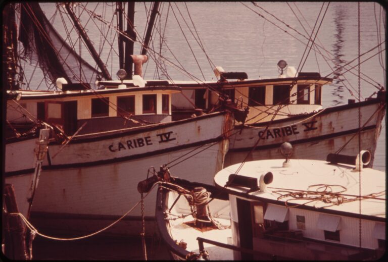 Vintage photograph of shrimp boats moored at a Florida commercial fishing dock