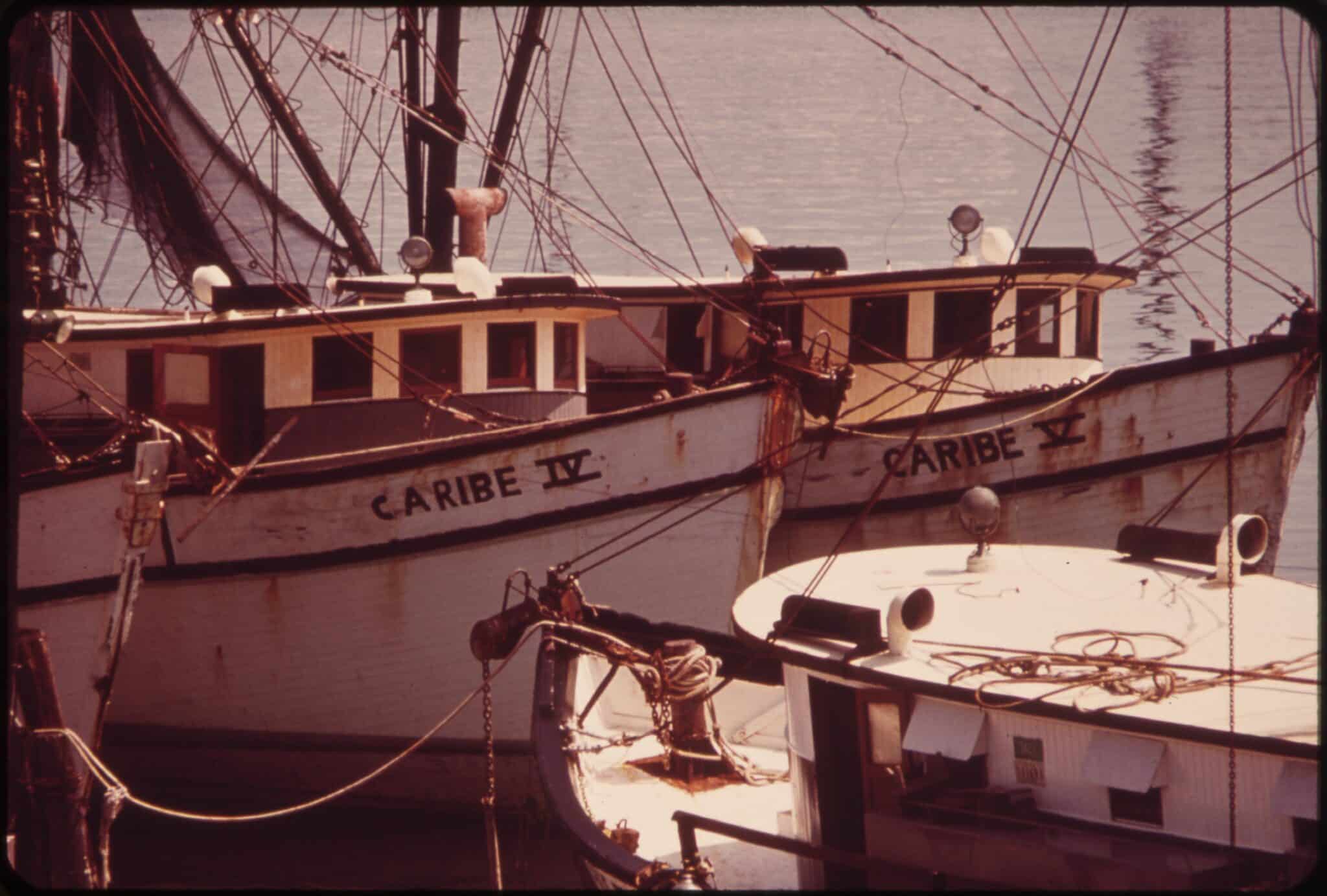 Vintage photograph of shrimp boats moored at a Florida commercial fishing dock